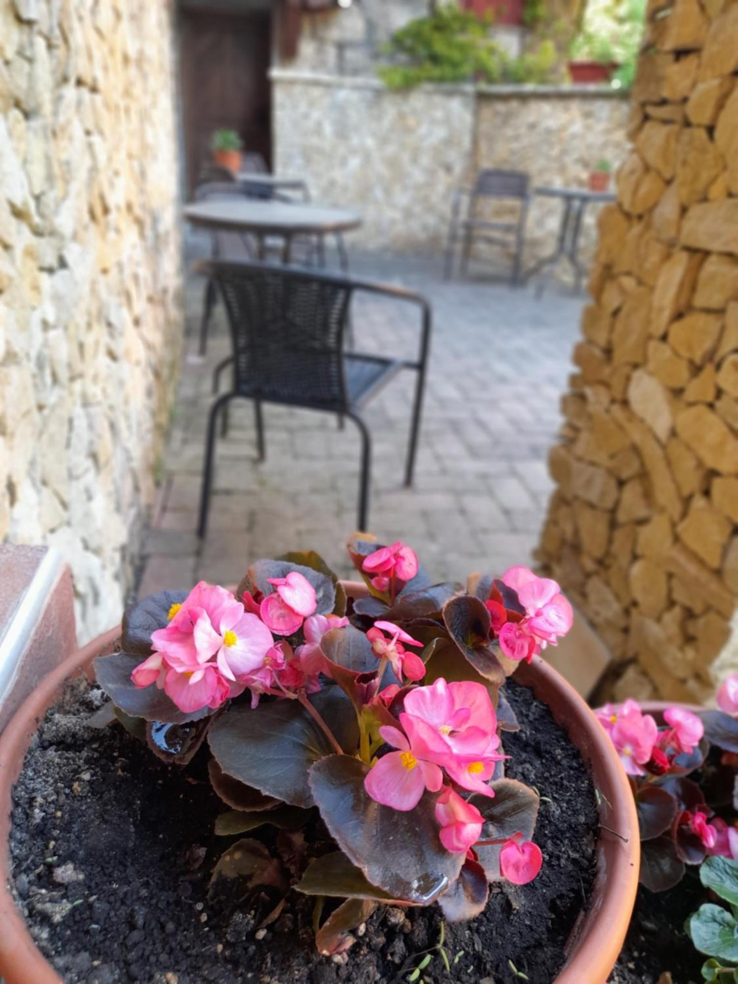 Harmónia Wellness Villa Szilvásvárad Exteriör bild